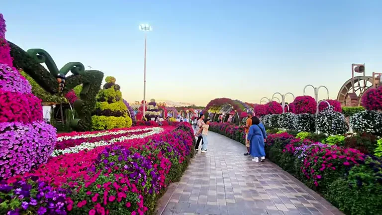 Сад чудес (Miracle Garden): цветочная композиция.