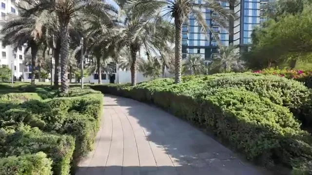 Вид на Двбаи Хиллт Паск — маршрут по знаковым местам Дубая.