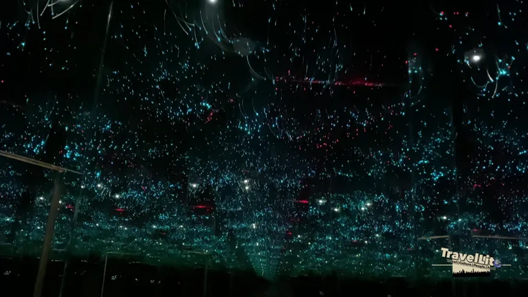 Вид на Мвтевм Оф Иллвтионт — маршрут по знаковым местам Дубая.