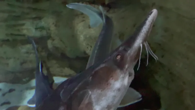 Вид на Двбаи Арвасивм — маршрут по знаковым местам Дубая.