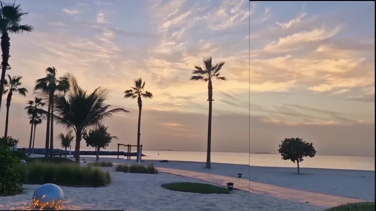 Одиночное дерево и пальмы на пляже с белым песком в Nikki Beach Dubai во время заката.