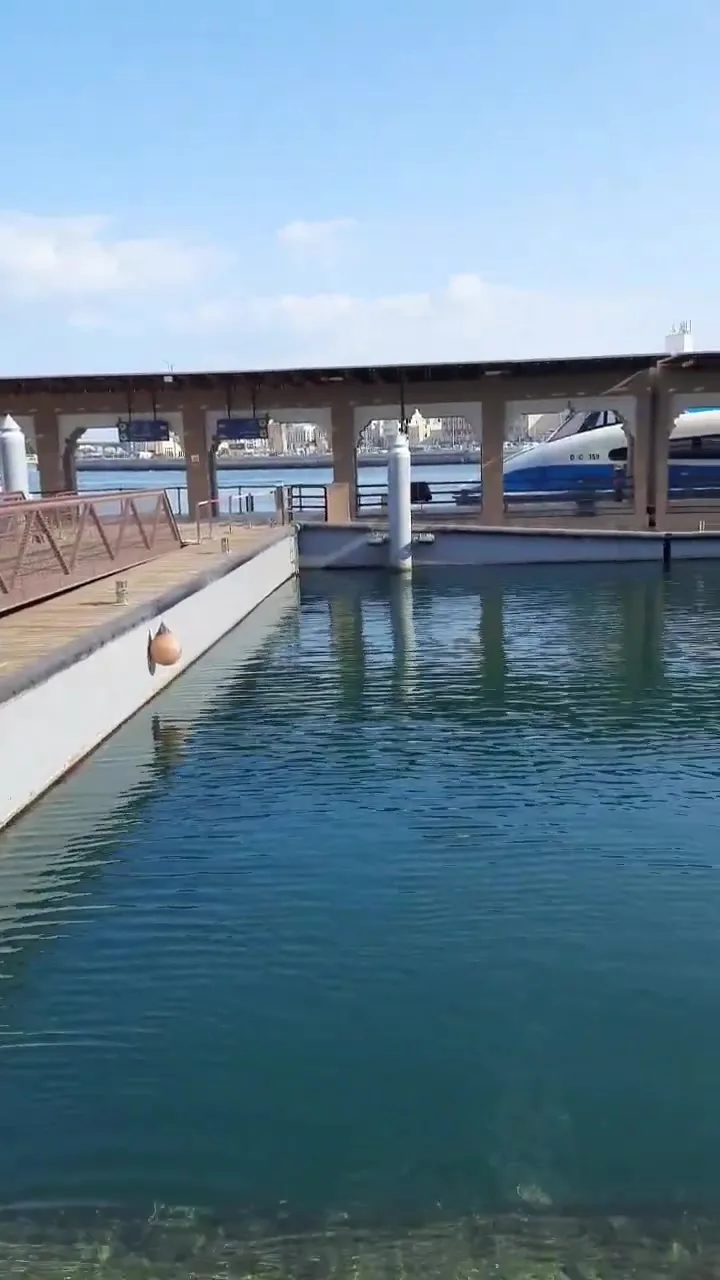 Дубай Крик Харбор (Dubai Creek Harbour): Новый центр города в 2026 году