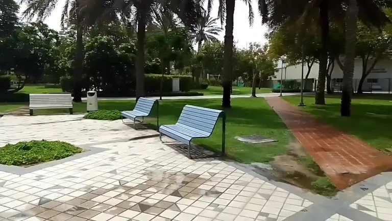 Вид на Забеел Паск — маршрут по знаковым местам Дубая.