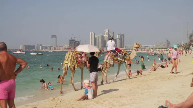 Два верблюда идут по многолюдному пляжу Kite Beach на фоне современных небоскребов Дубая вдали.